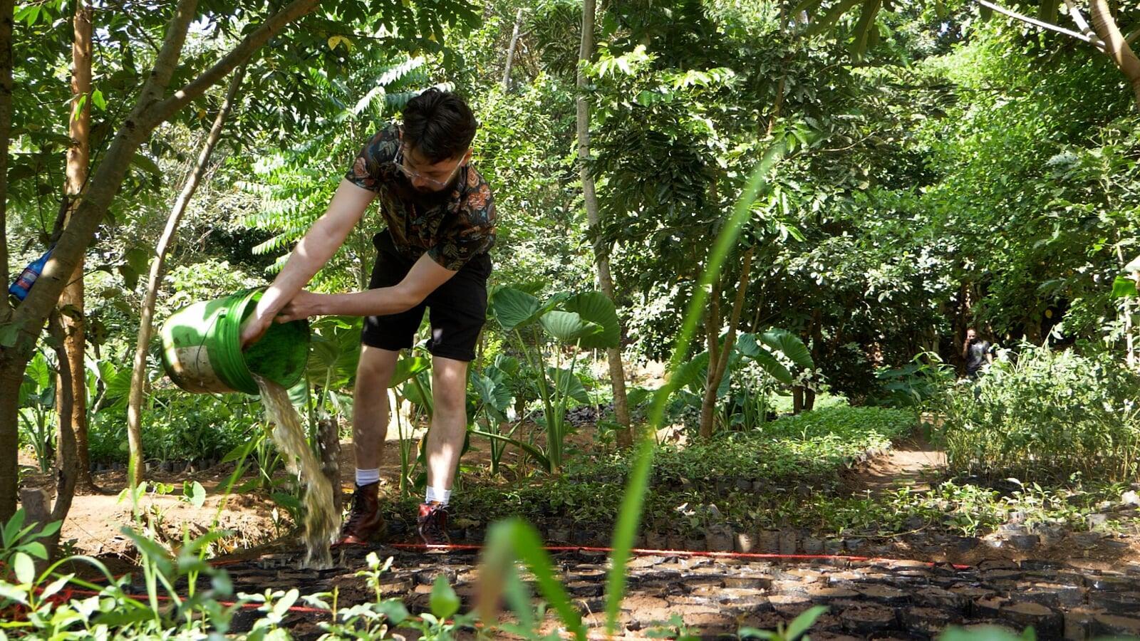 Cultivating a Greener Pakistan: Unlocking Growth through Tree Planting Grants